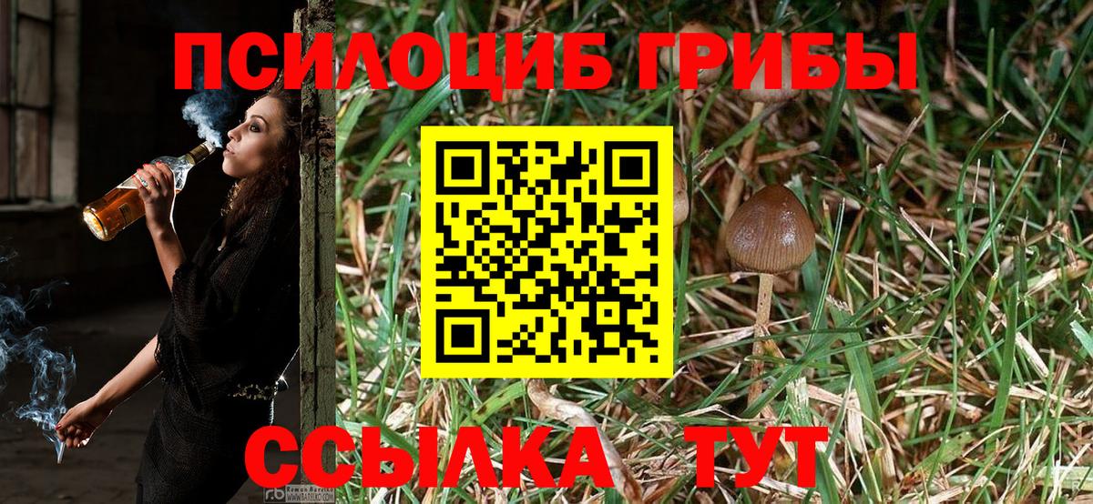 Псилоцибиновые грибы MAGIC MUSHROOMS  сколько стоит  Жигулёвск  Псилоцибиновые грибы мухоморы 