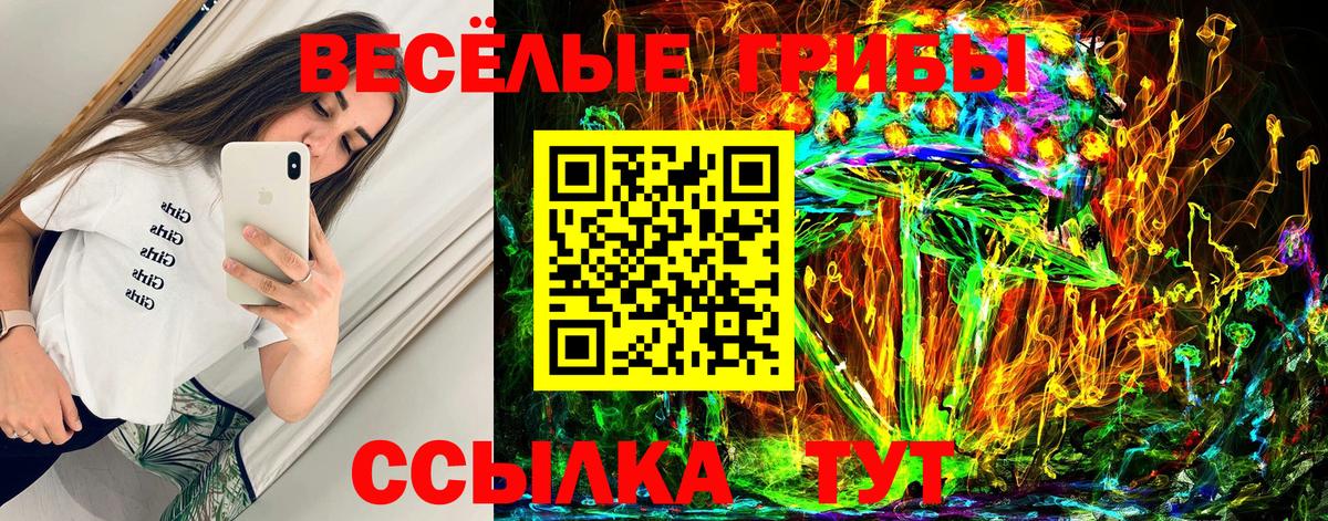 Жигулёвск  Галлюциногенные грибы прущие грибы  Вход с VPN  Псилоцибиновые грибы мицелий 