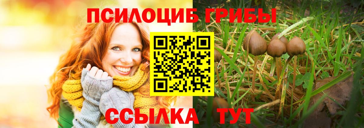 Галлюциногенные грибы Cubensis Жигулёвск